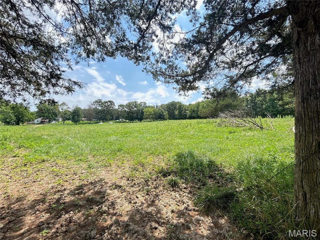 Tbd Walker Street Licking, MO 65542 - Photo 37 of 38