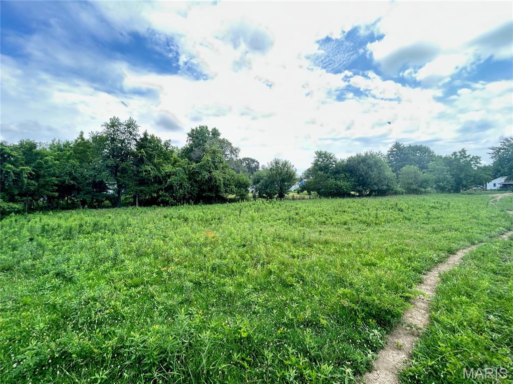 Tbd Walker Street Licking, MO 65542 - Photo 38 of 38