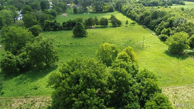 $110,000 | Tbd Walker Street, Licking, MO 65542