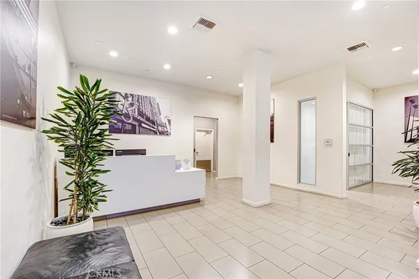 a room with a potted plant and a rug