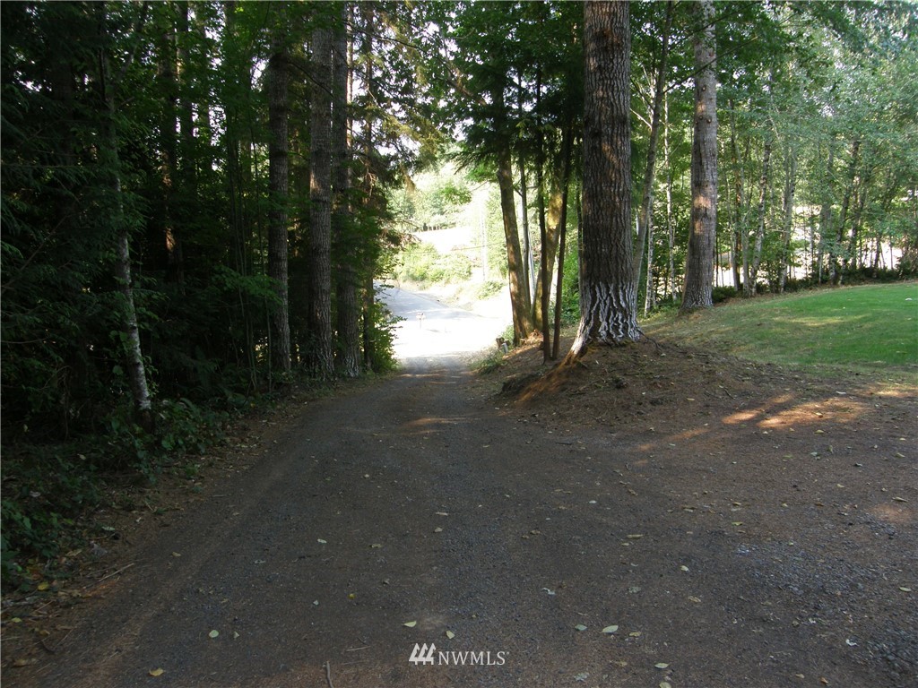 99 Strawberry Hill Road Elma, WA 98541 - Photo 21 of 21 Gallery Image 21