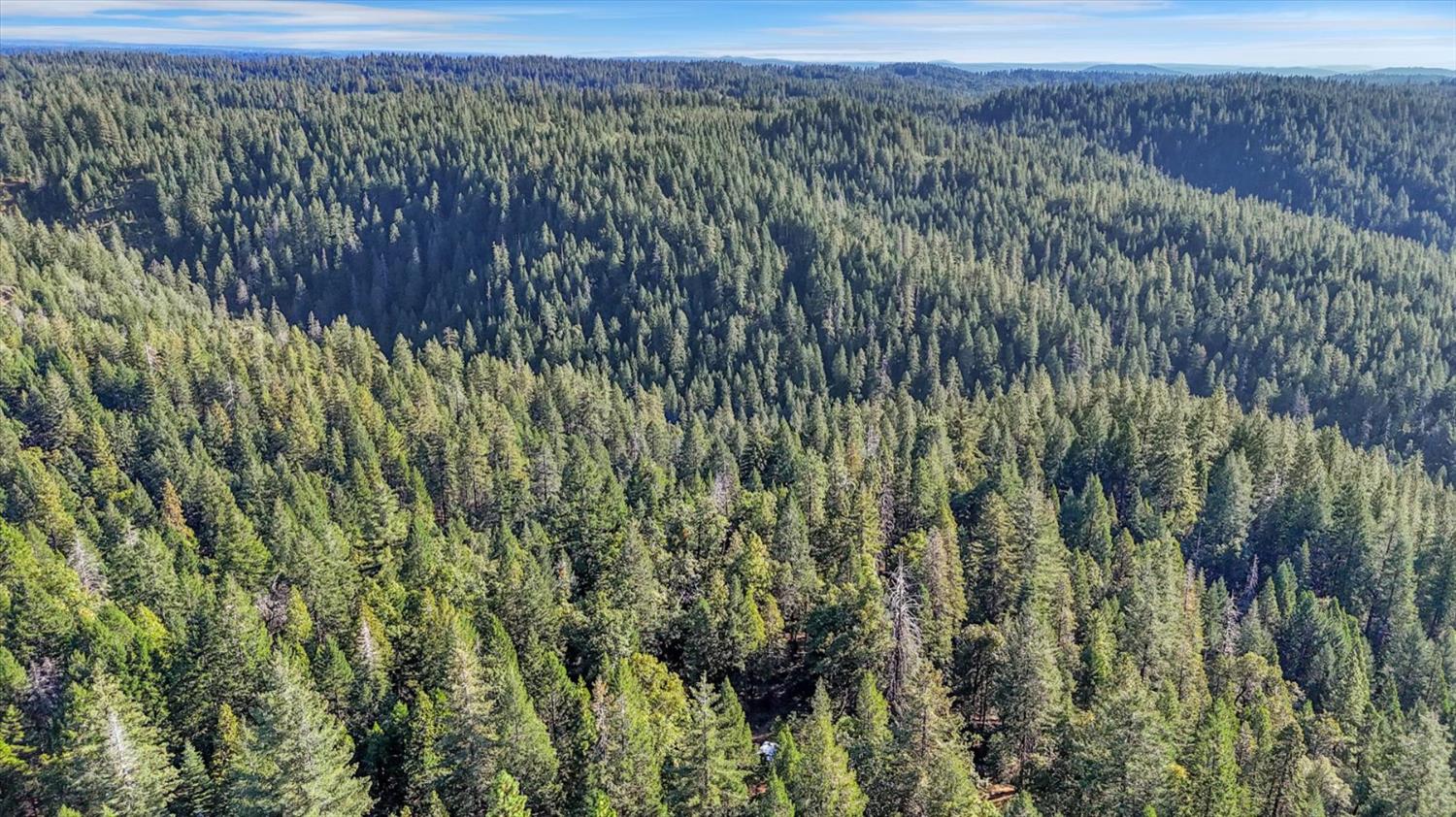 12683 Spider Hill Road Nevada City, CA 95959 - Photo 18 of 37
