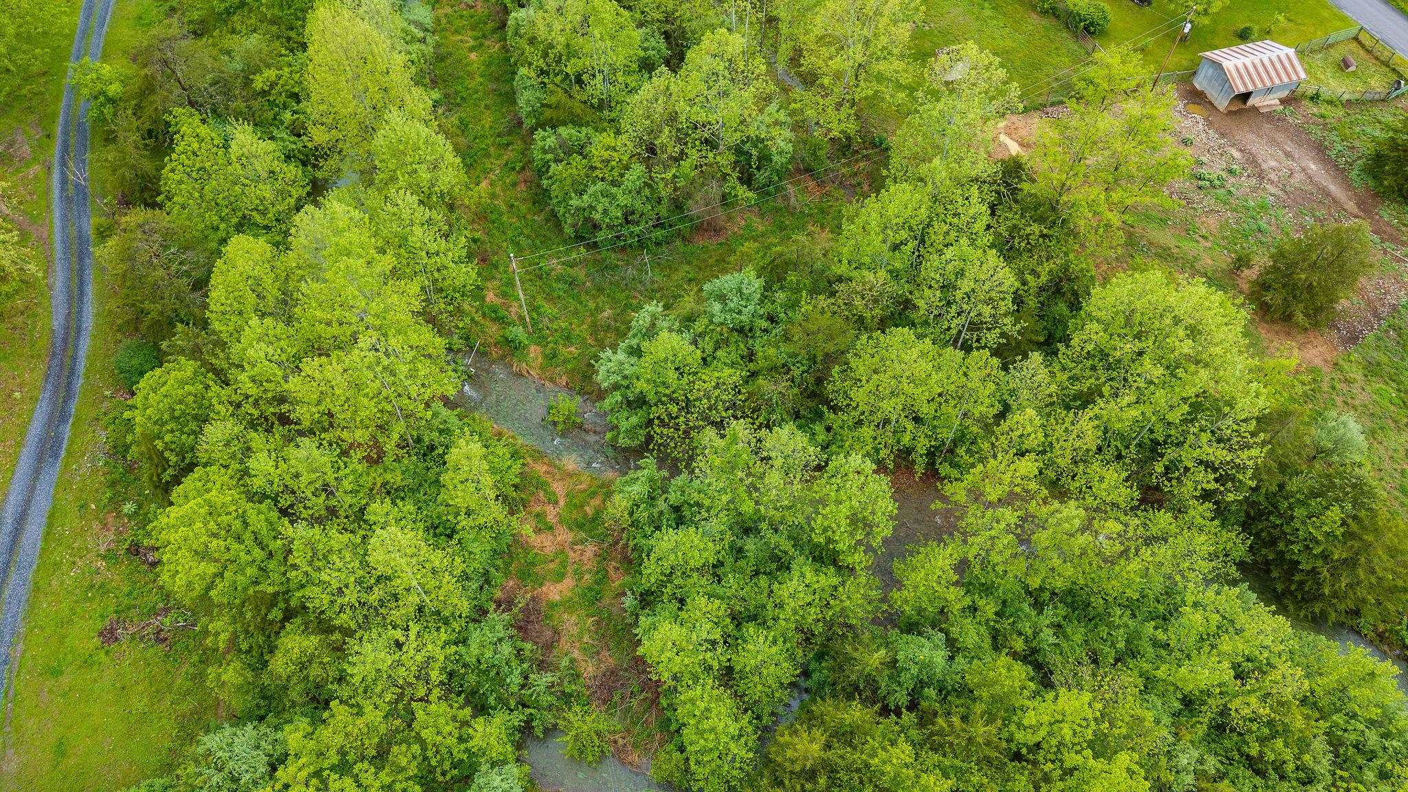 3292 Deerfield Valley Road Deerfield, VA 24432 - Photo 64 of 69 a view of a lush green forest with lots of trees