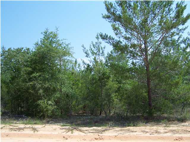 Xx East Raphael Road, Unit LOT 14 DeFuniak Springs, FL 32433 - Photo 1 of 2 Gallery Image 1
