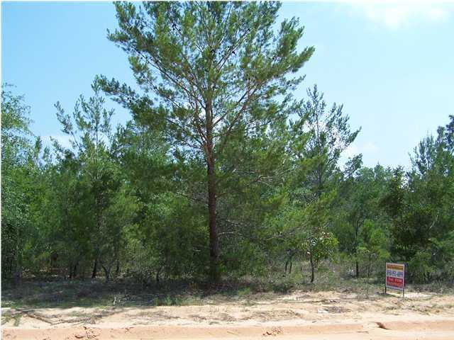 Xx East Raphael Road, Unit LOT 14 DeFuniak Springs, FL 32433 - Photo 2 of 2 Gallery Image 2