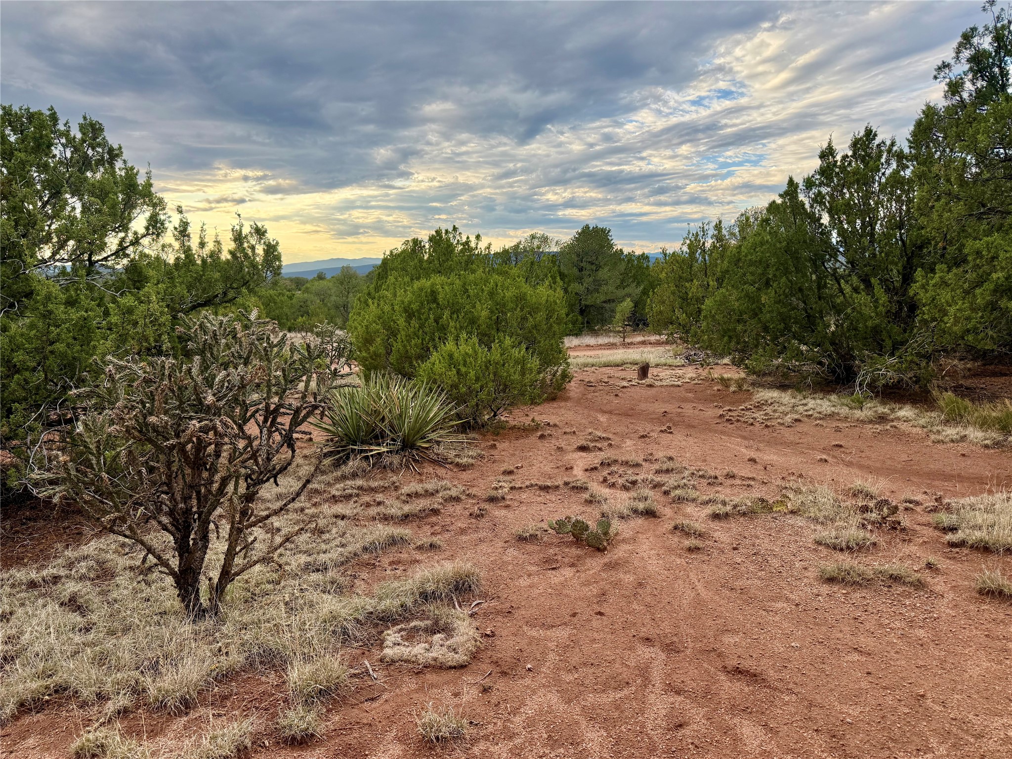 112 River Road Ilfeld, NM 87538 - Photo 11 of 20