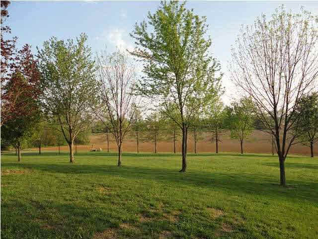 7 Old Orchard Road Mount Vernon, IN 47620 - Photo 18 of 24 Gallery Image 18