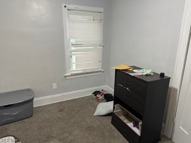 920 Yellowstone Road Cleveland Heights, OH 44121 - Photo 15 of 33 Misc room featuring carpet flooring