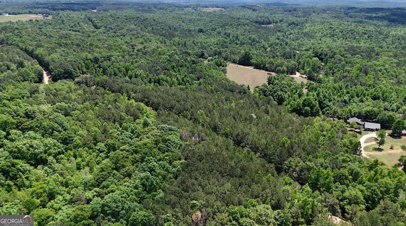 0 Creek Road, Unit LOT 2 Ashland, AL 36251 - Photo 17 of 20