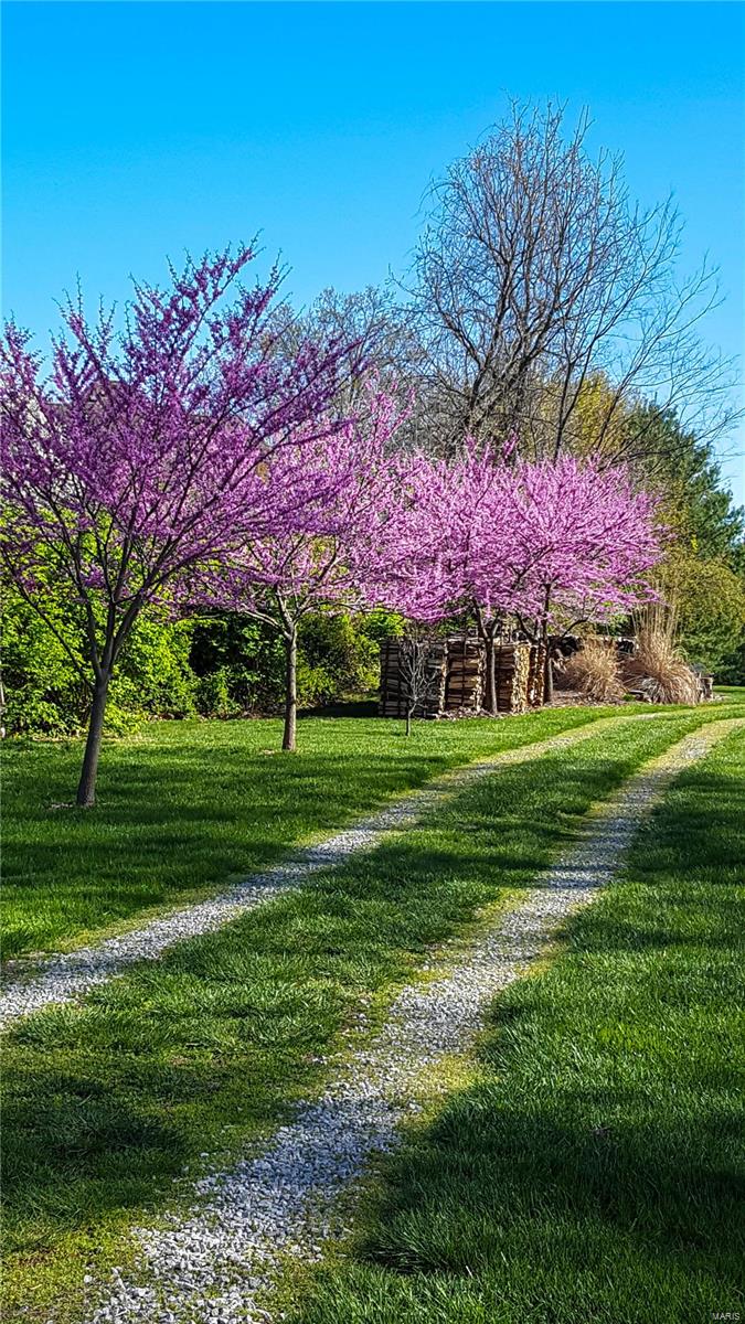 2814 Yaeger Road St. Louis, MO 63129 - Photo 39 of 40 Gallery Image 39