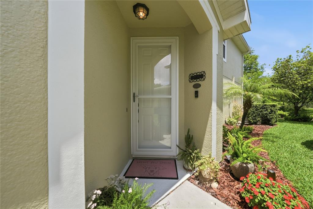 497 Harbor Ridge Drive Palm Harbor, FL 34683 - Photo 6 of 52