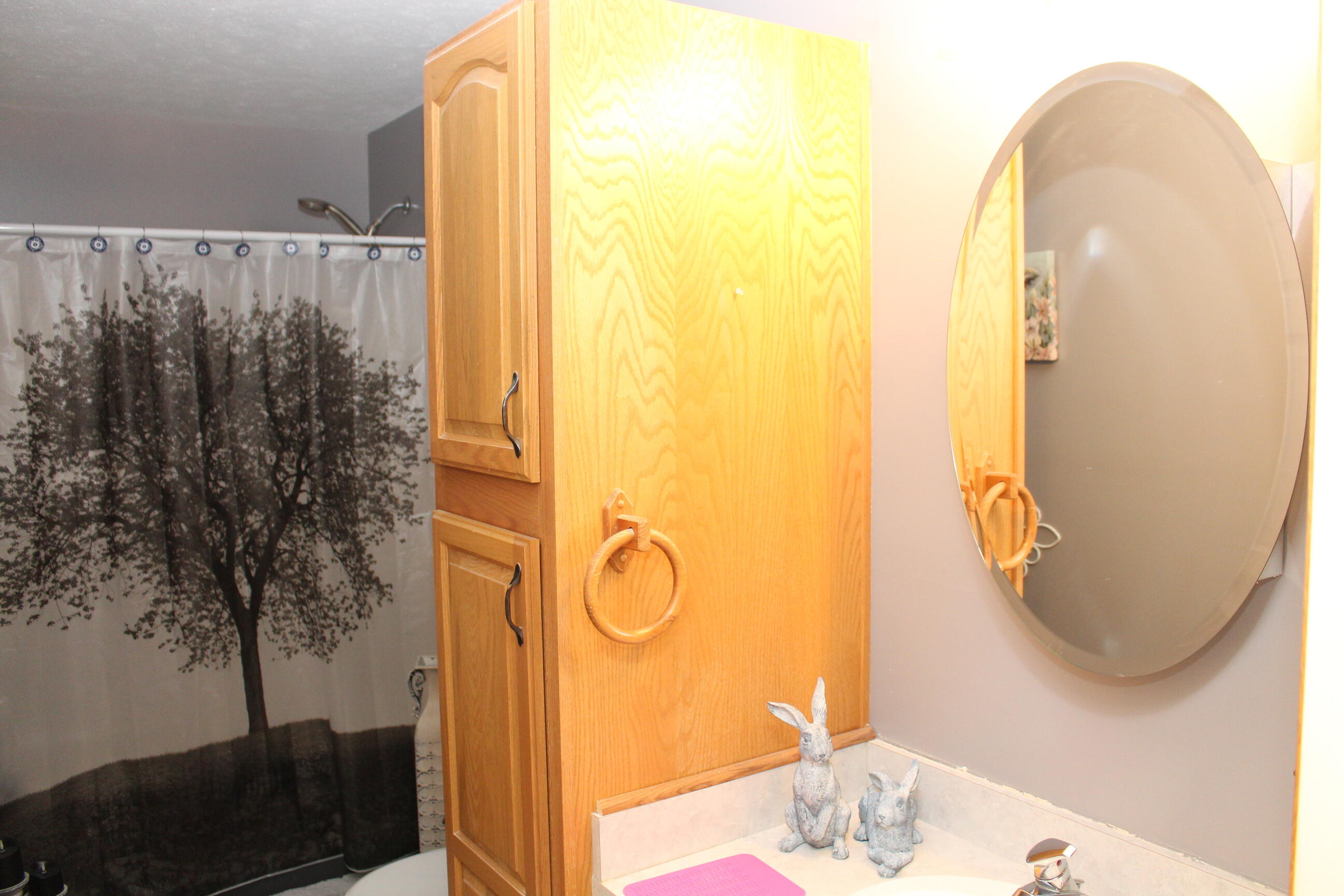 10289 Lee Road Grass Lake, MI 49240 - Photo 34 of 78 IMG_1156