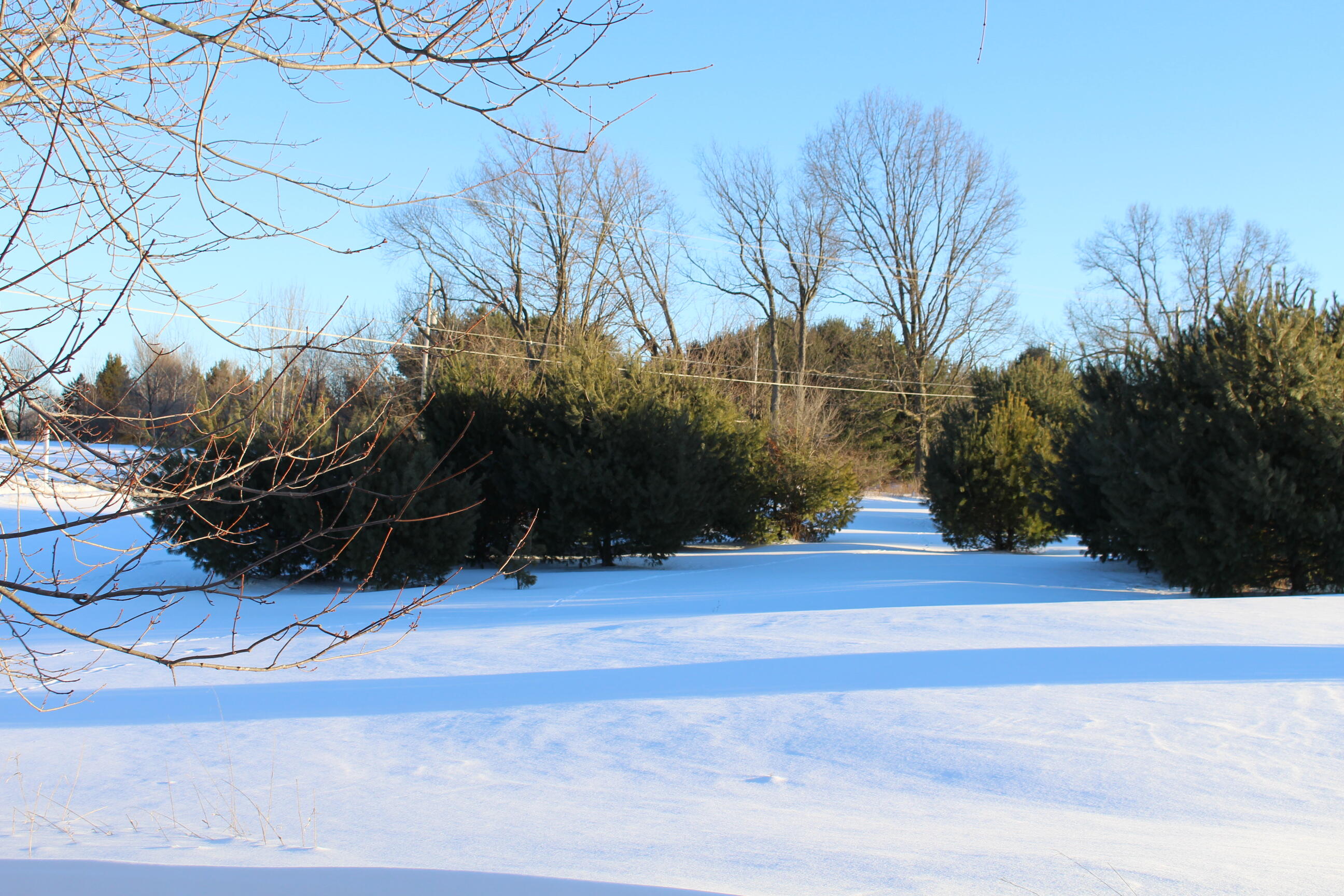 10289 Lee Road Grass Lake, MI 49240 - Photo 51 of 78 IMG_1195