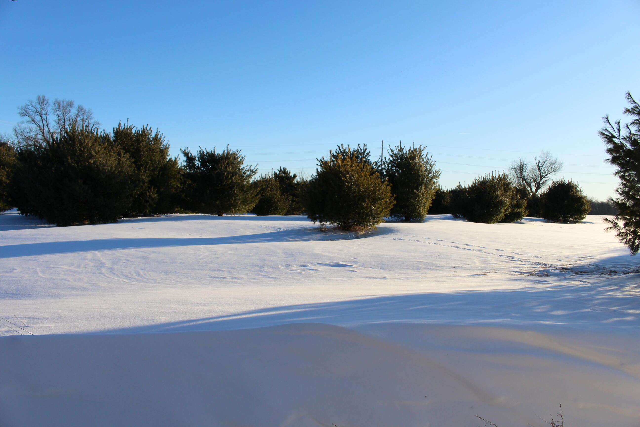 10289 Lee Road Grass Lake, MI 49240 - Photo 52 of 78 IMG_1198