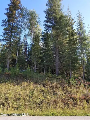 $117,500 | 111 Trail Blazer Court, Pinehurst, ID 83850