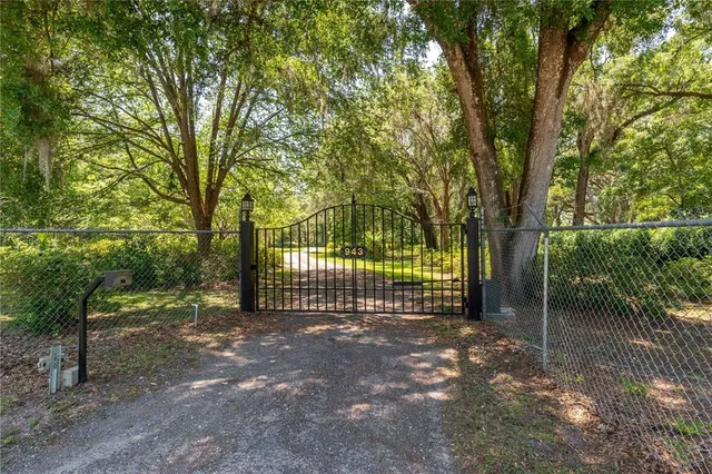 a view of a park that has large trees