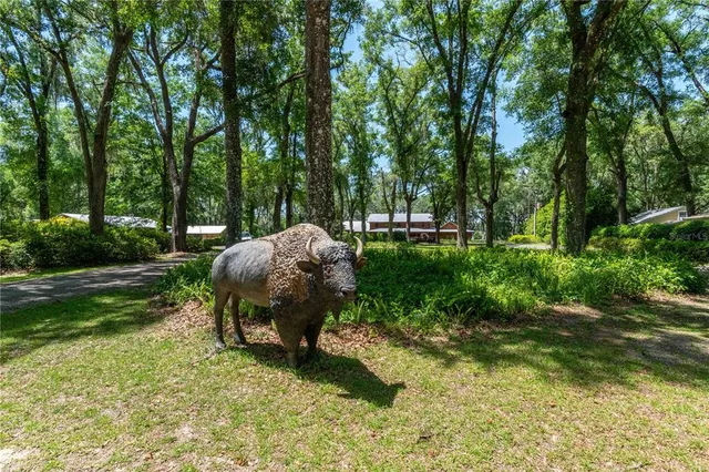 a front view of a house with yard and green space