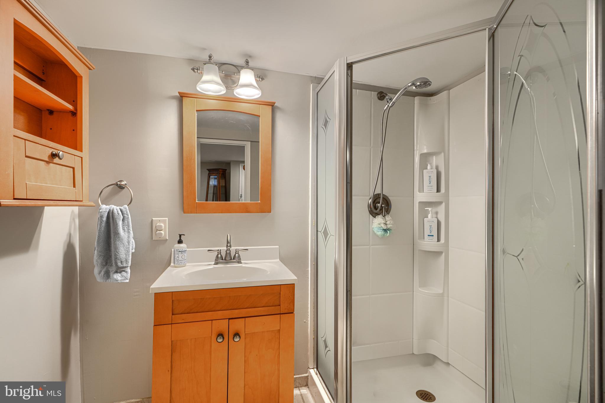 8132 Pleasant Plains Road Towson, MD 21286 - Photo 40 of 55 a bathroom with a shower sink and mirror