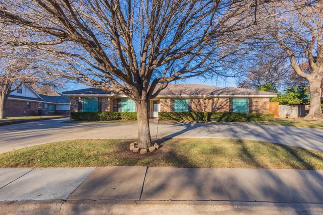 a view of a yard with plants and trees