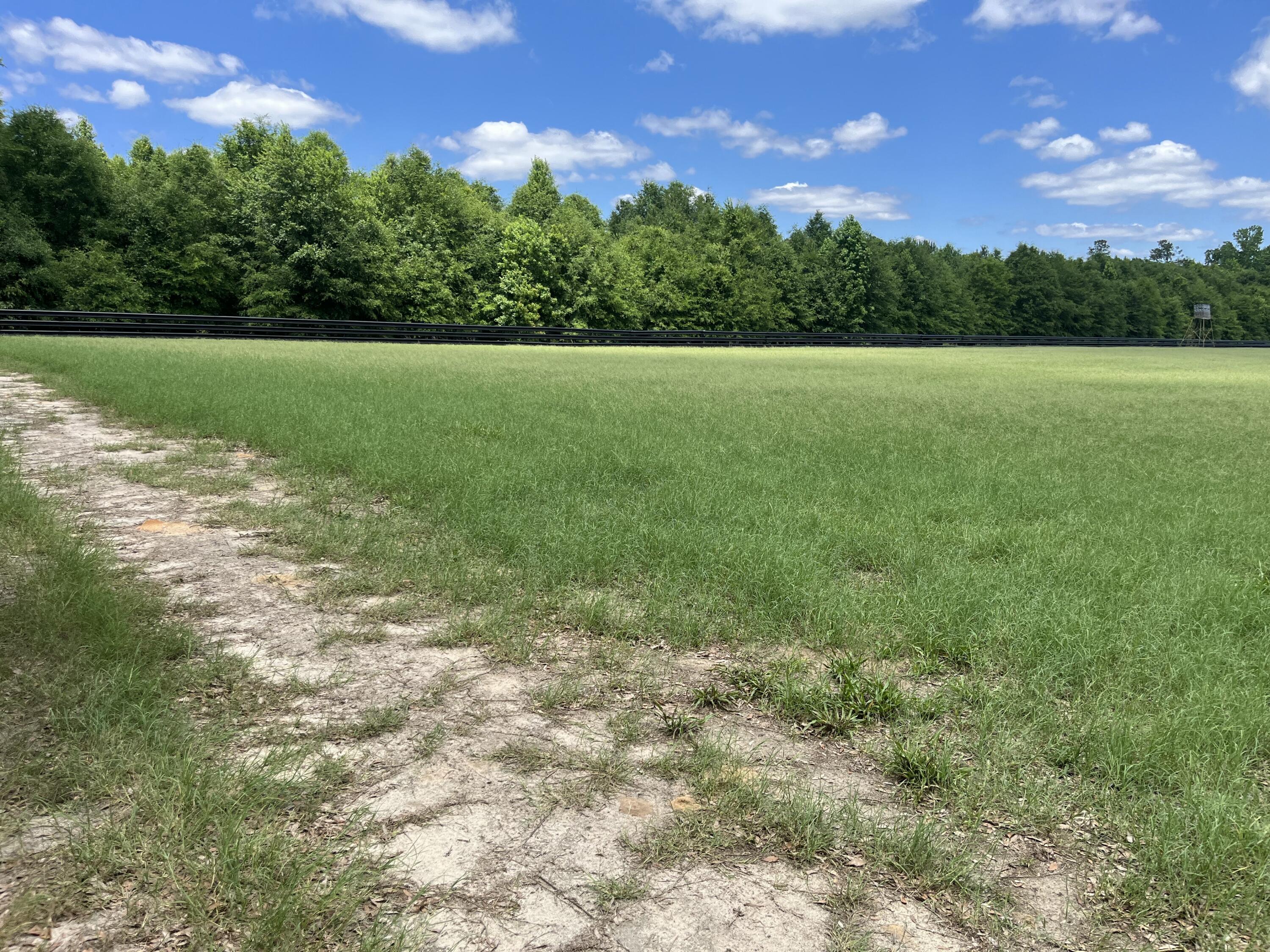 1114 Lott Bluff Road Blackville, SC 29817 - Photo 122 of 164