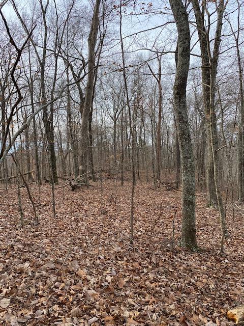 Lot 4 River Road, Unit 4 Decatur, TN 37322 - Photo 2 of 5 Kyle 4