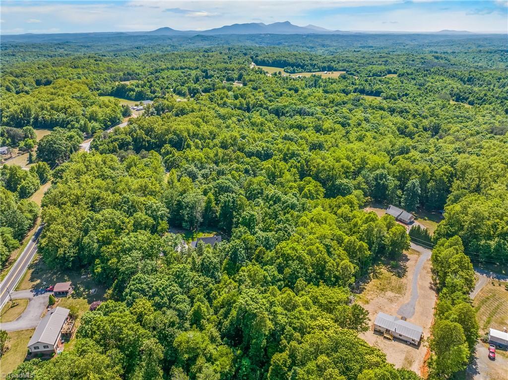 1100 Sandy Lane Sandy Ridge, NC 27046 - Photo 41 of 42