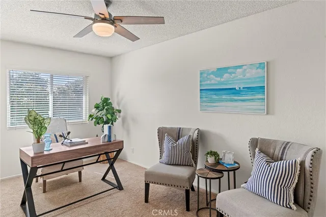a living room with furniture and a potted plant