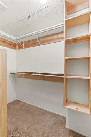 a view of an empty walk in closet