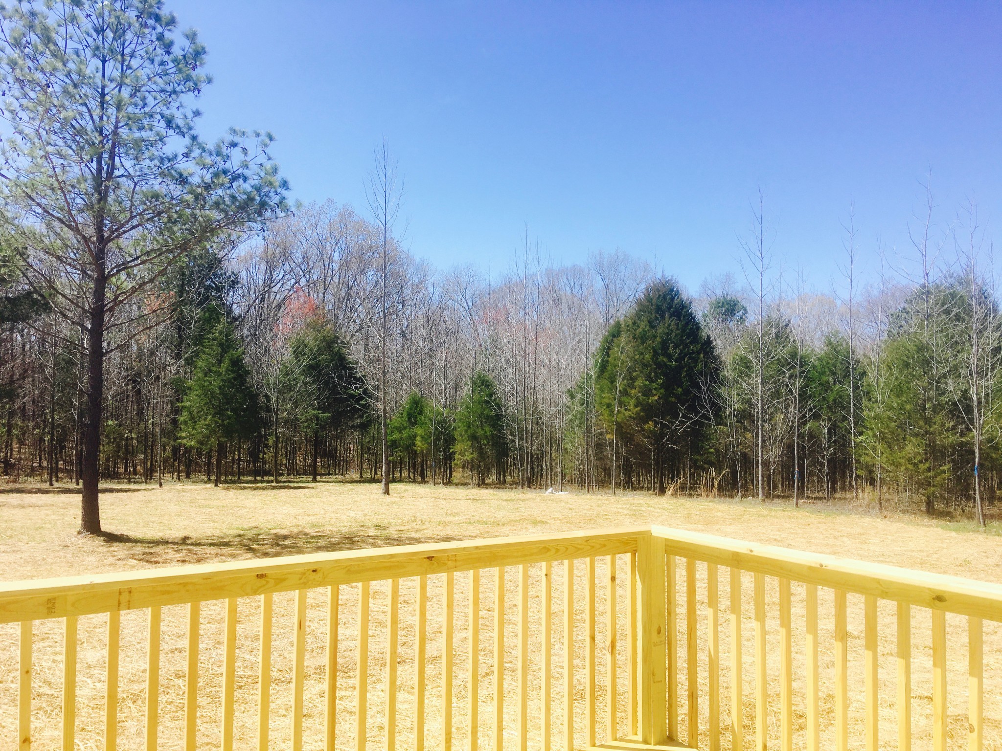 399 Wells Lee Road Elora, TN 37328 - Photo 2 of 4