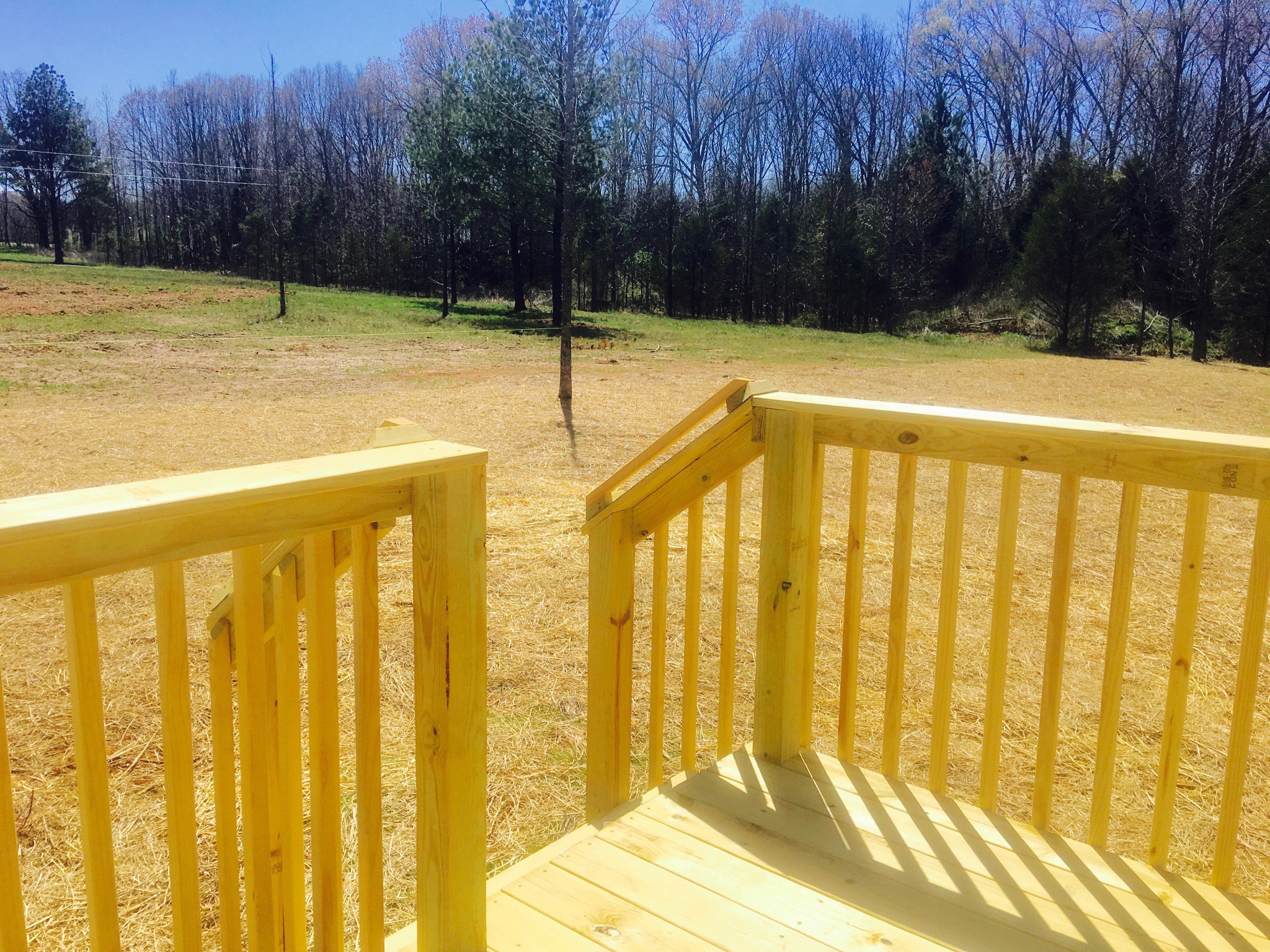 399 Wells Lee Road Elora, TN 37328 - Photo 4 of 4