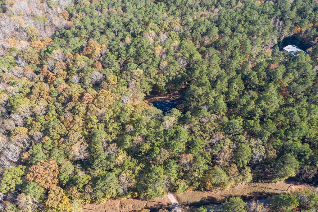 1207 Mack Scott Road Pine Mountain, GA 31822 - Photo 3 of 38 6.77 wooded acres on private road