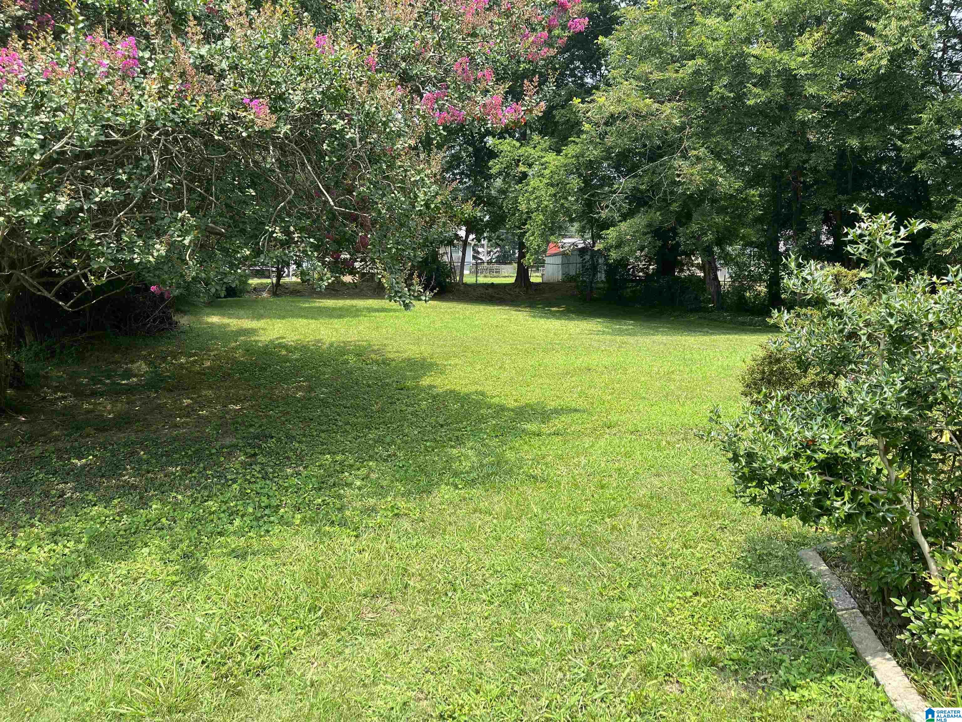 8309 2nd Avenue Morris, AL 35116 - Photo 5 of 49