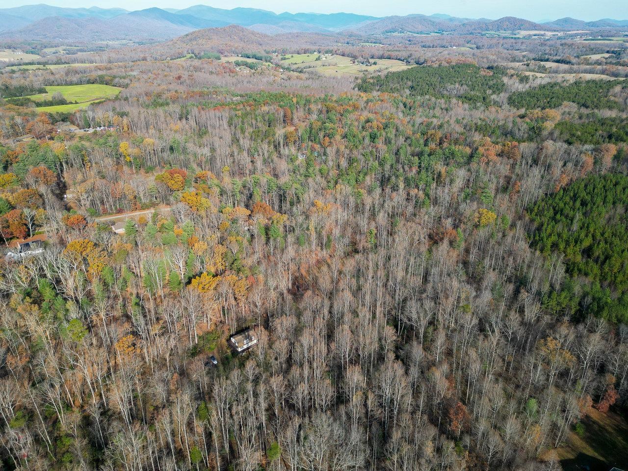 Tbd Seville Road Madison, VA 22727 - Photo 11 of 22 a view of a lush green forest with lush green forest