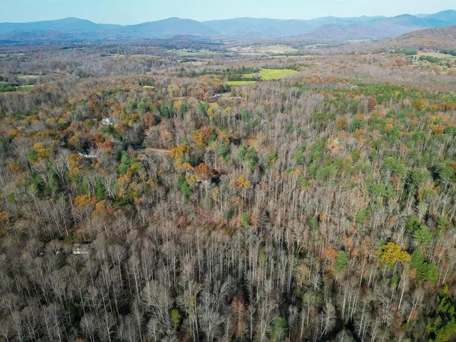 a view of a lush green hillside and a houses