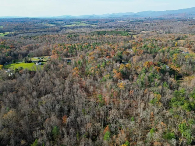a view of a dry yard with green space