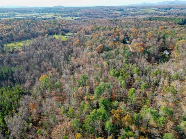 an aerial view of forest