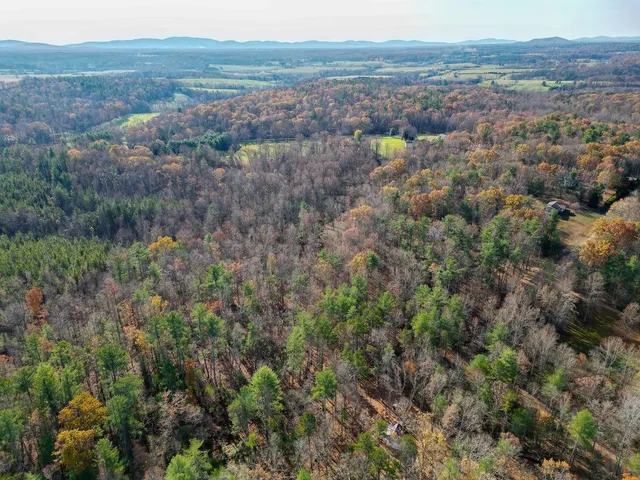 an aerial view of town with trees and houses