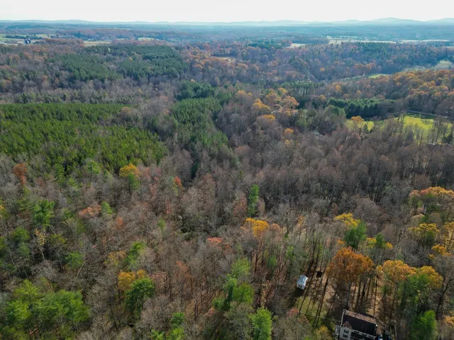 an aerial view of forest