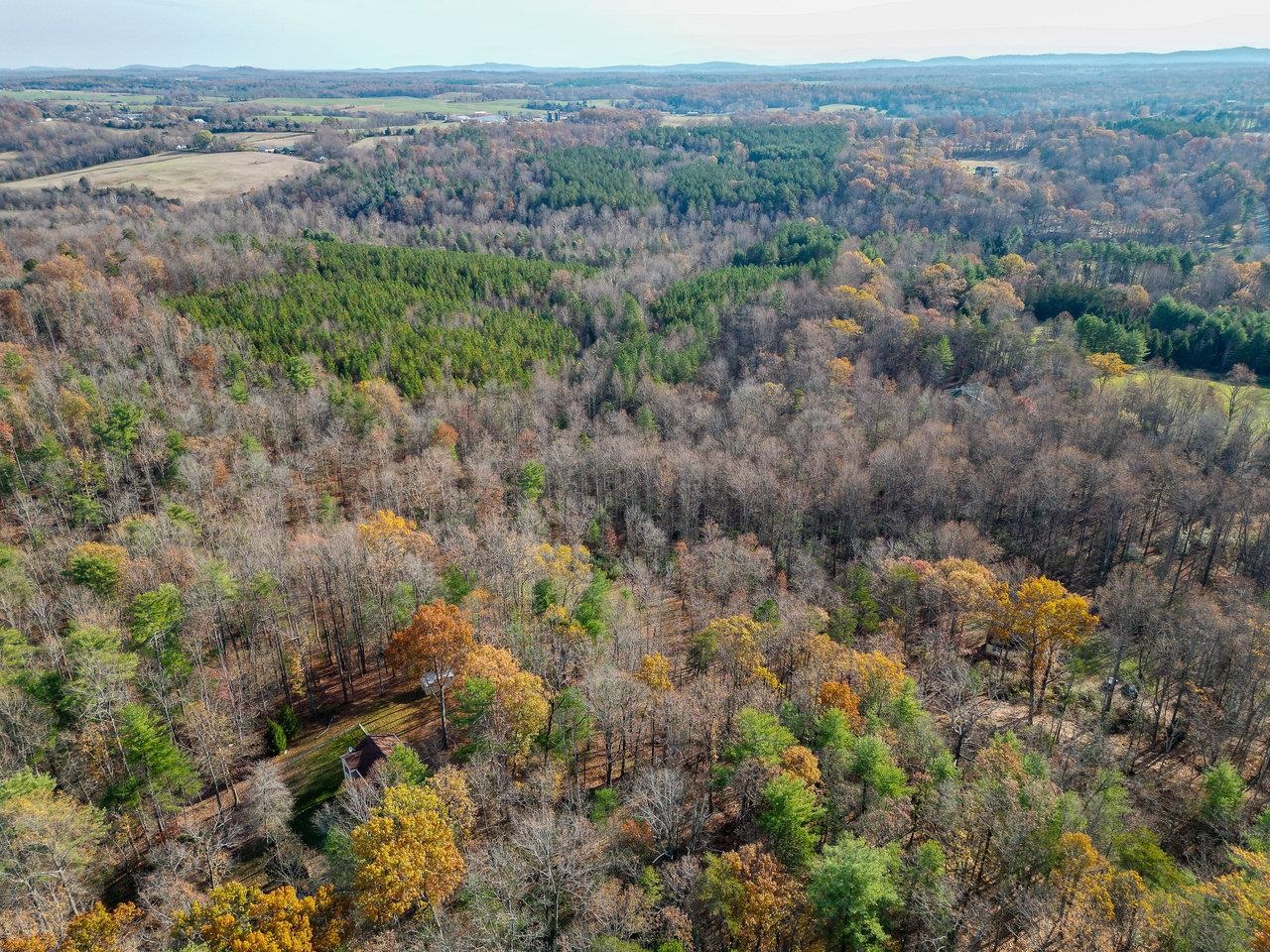 Tbd Seville Road Madison, VA 22727 - Photo 19 of 22 an aerial view of forest