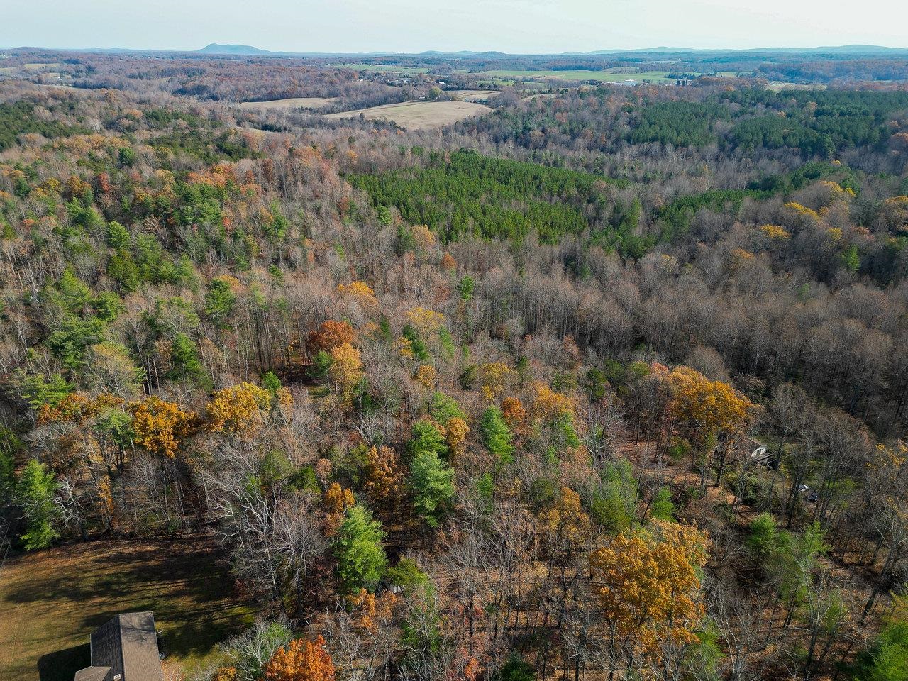 Tbd Seville Road Madison, VA 22727 - Photo 20 of 22 a view of a forest with a forest