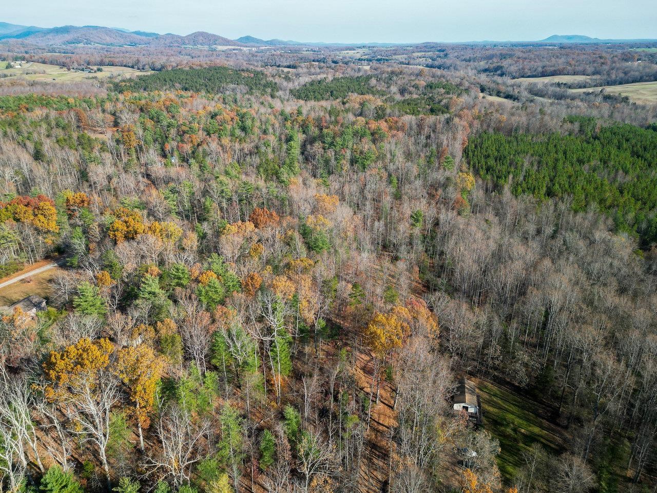 Tbd Seville Road Madison, VA 22727 - Photo 21 of 22 a view of a lush green forest with trees and some houses