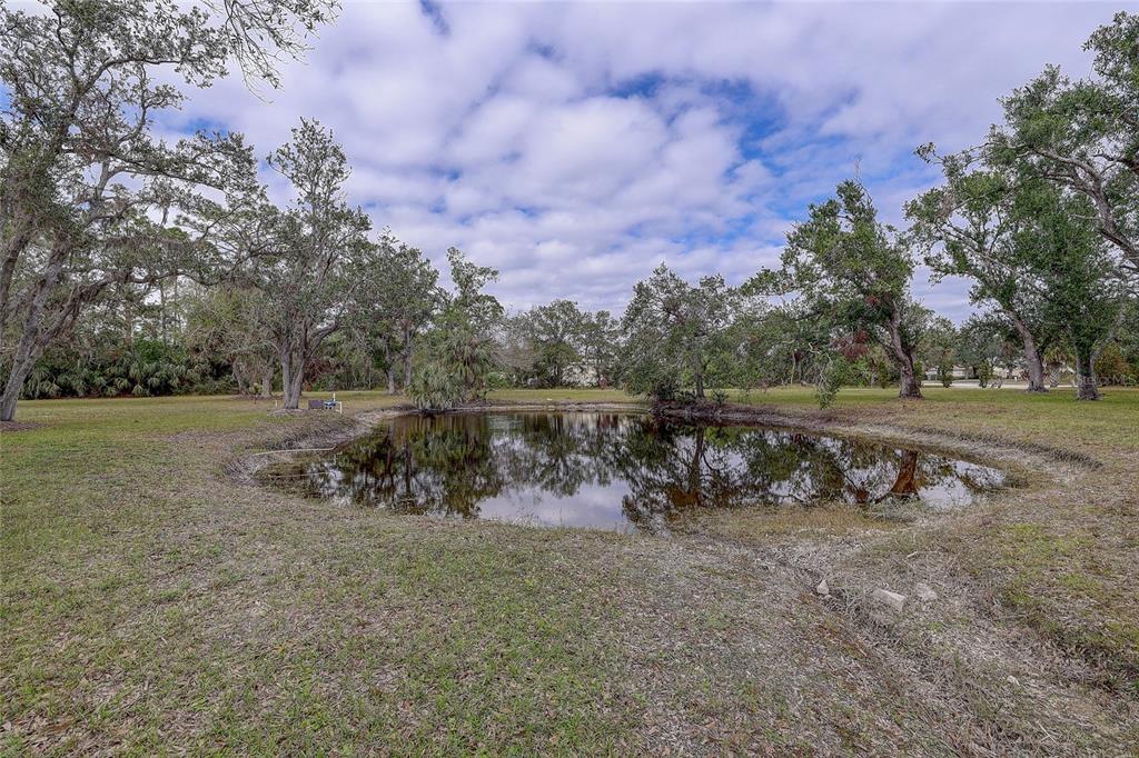181 South Auburn Road Venice, FL 34292 - Photo 65 of 91 a view of a park with large trees