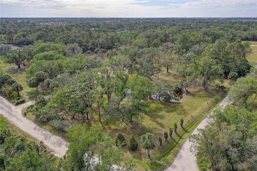 181 South Auburn Road Venice, FL 34292 - Photo 85 of 91 a view of a forest with a tree