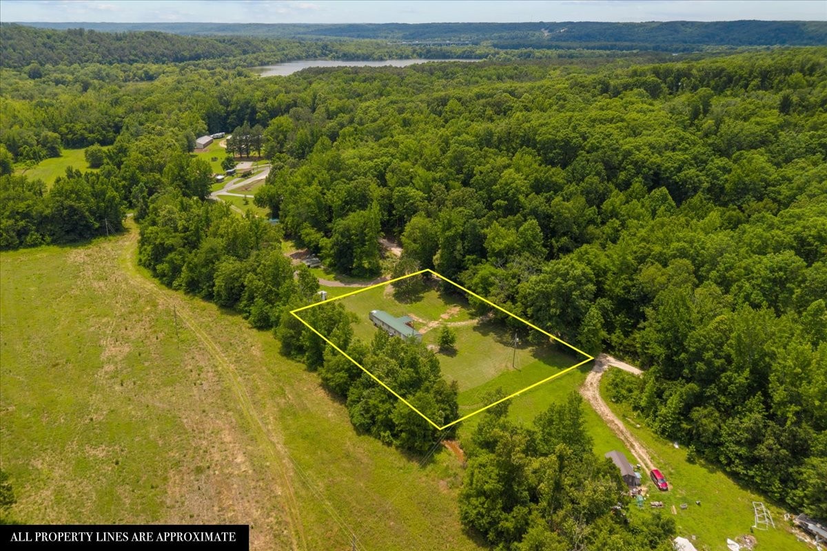 2900 Jack Branch Road Waverly, TN 37185 - Photo 31 of 51