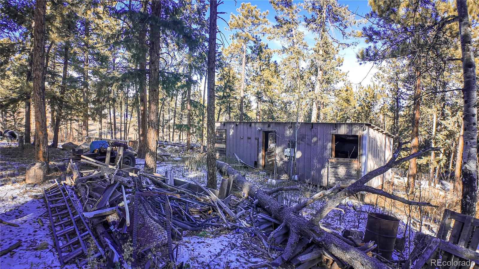 983 Wagon Trail Road Evergreen, CO 80439 - Photo 45 of 47 a backyard of a house with lots of green space