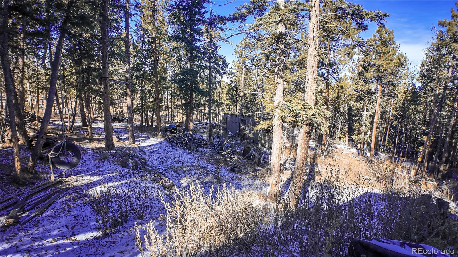 983 Wagon Trail Road Evergreen, CO 80439 - Photo 47 of 47 a view of outdoor space with lots of trees