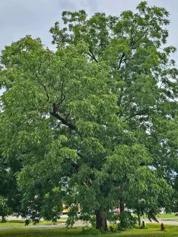 $270,000 | 10 Green Avenue, Greensboro, FL 32351