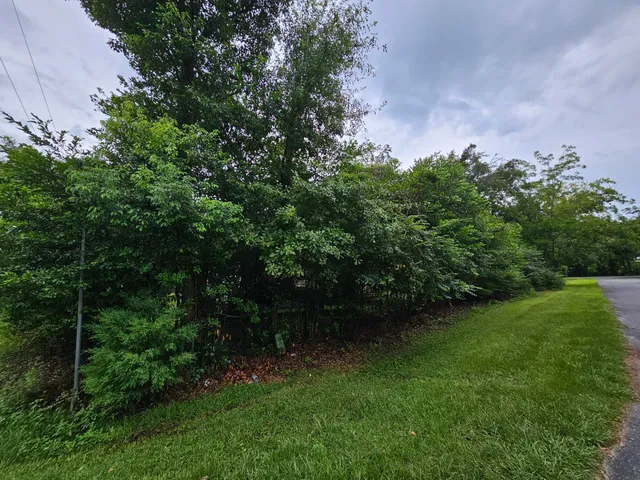 $270,000 | 10 Green Avenue, Greensboro, FL 32351