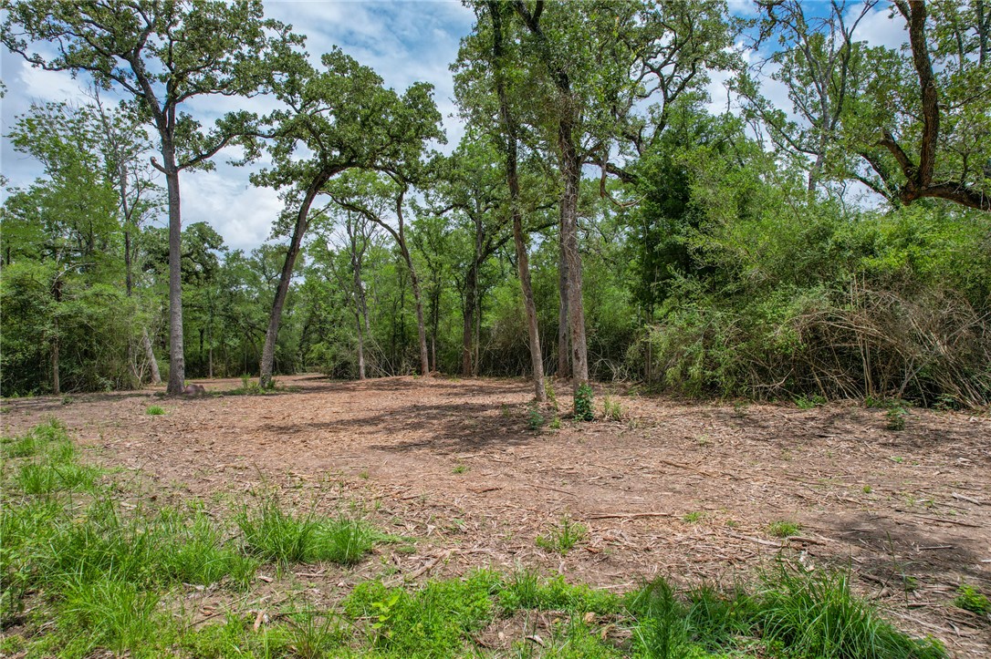 3 Jones Road College Station, TX 77845 - Photo 12 of 24 a fire hydrant in the middle of a field
