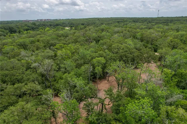 a view of a lush green outdoor space with a lake view